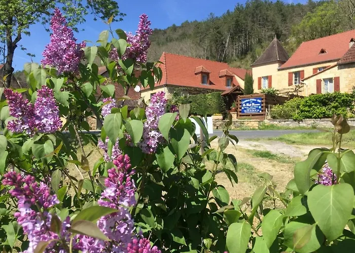 Bed & Breakfast La Belle Demeure Proche Sarlat